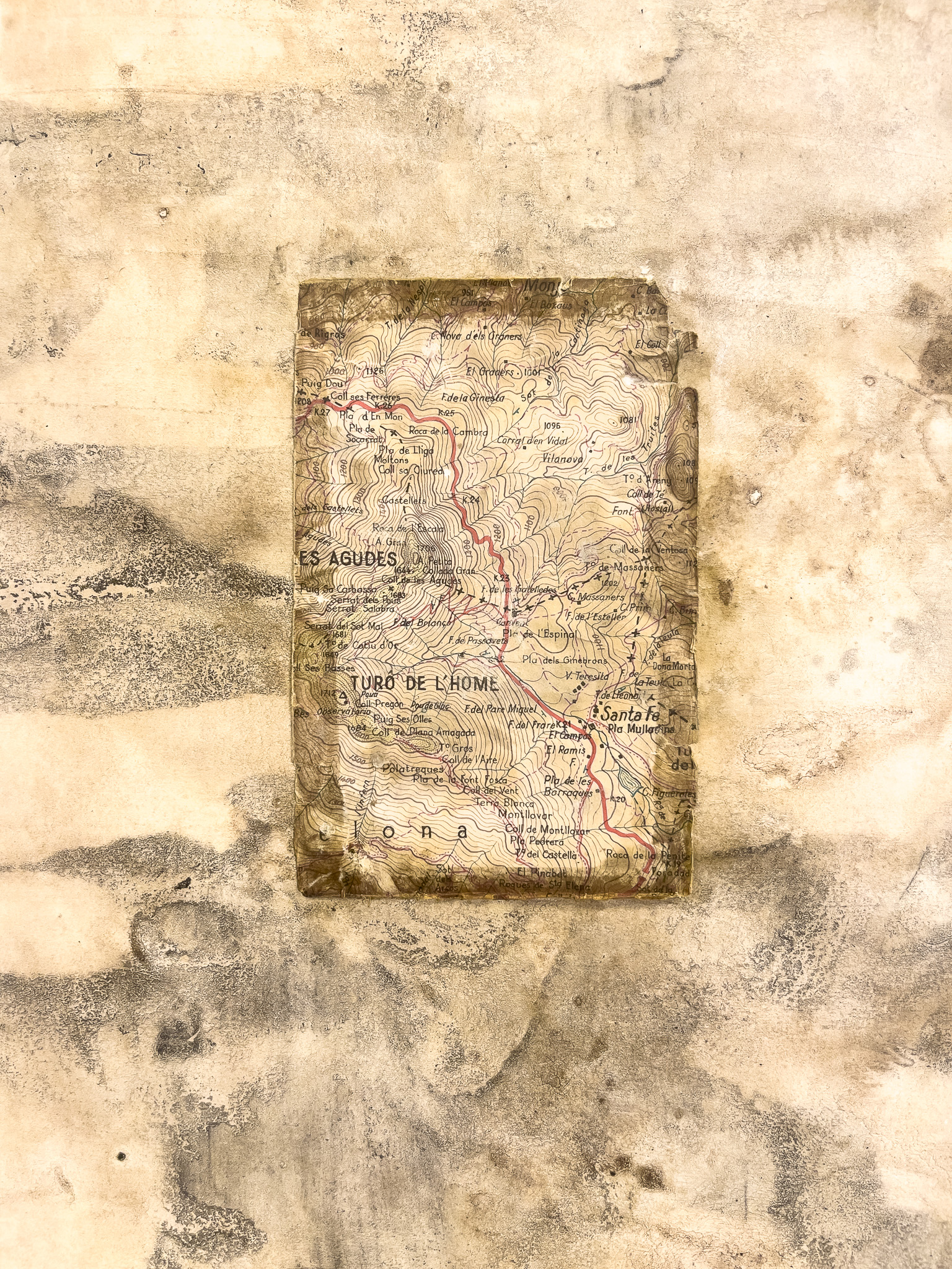 Turó de l’Home, Montseny, Catalunya. 2023 (detalle