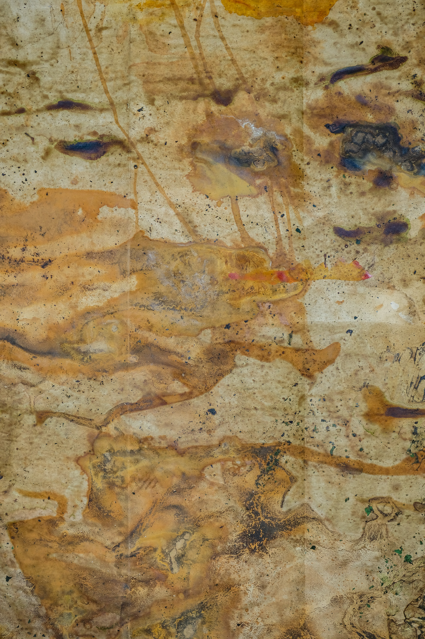 Cartografies del Montseny