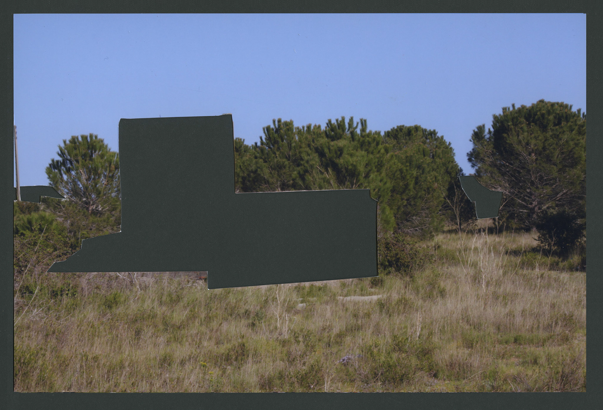 Fotografía intervenida