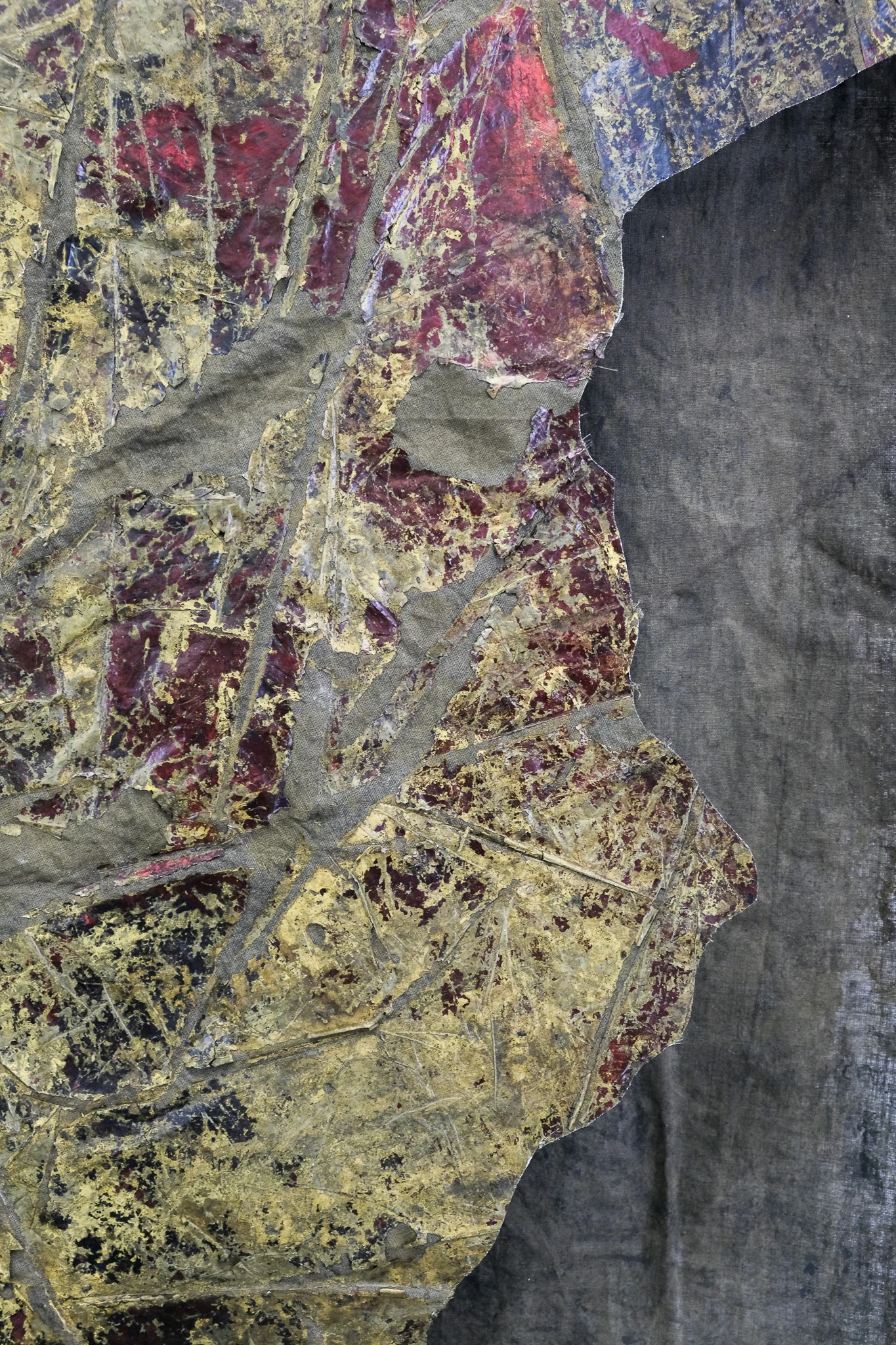 2024-territori-buit-04