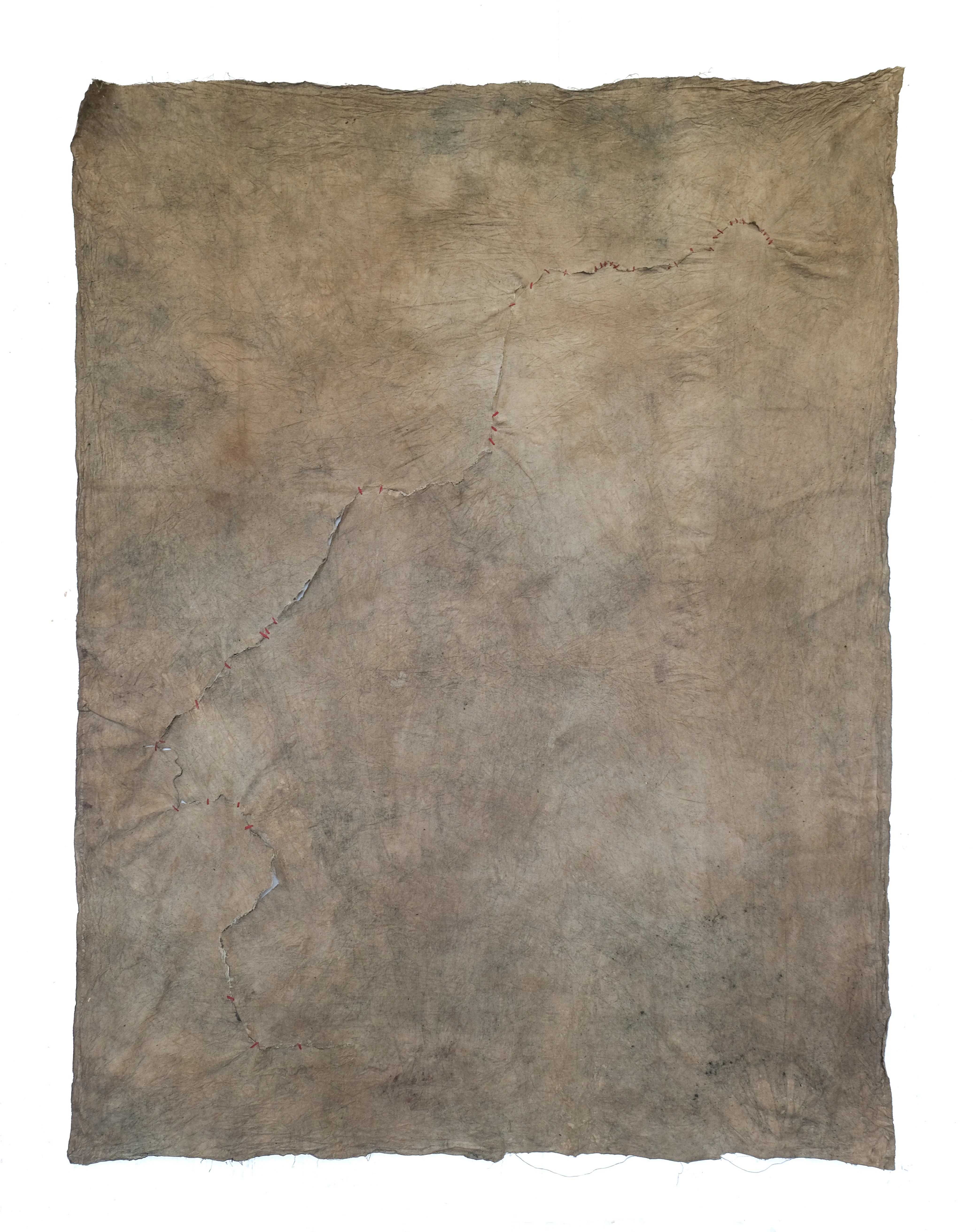 Sutura (43 ponts), pigments naturals i cola vinílica, 193 × 145 cm