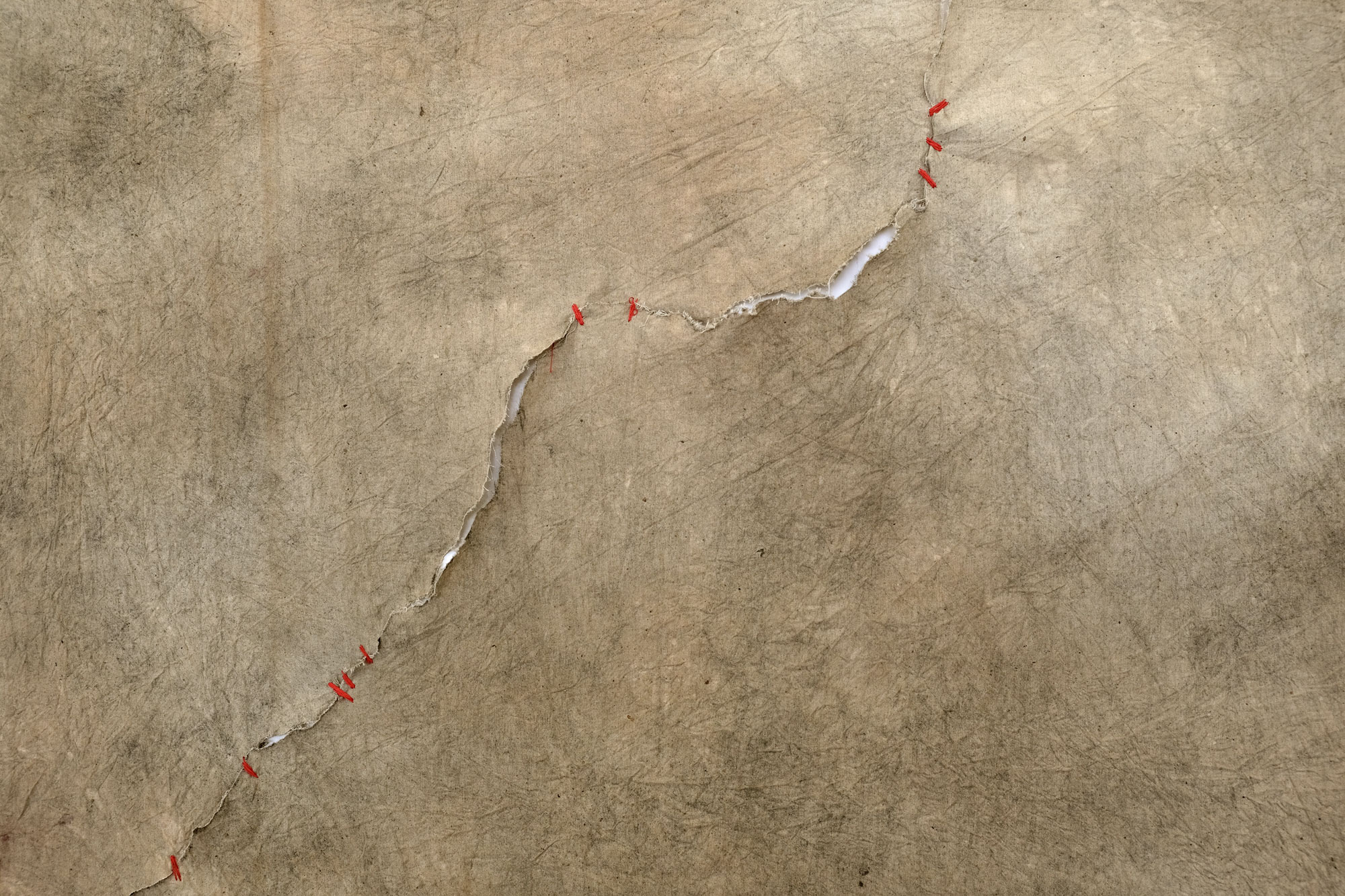 Suture (43 bridges), natural pigments and vinyl glue, 193 × 145 cm