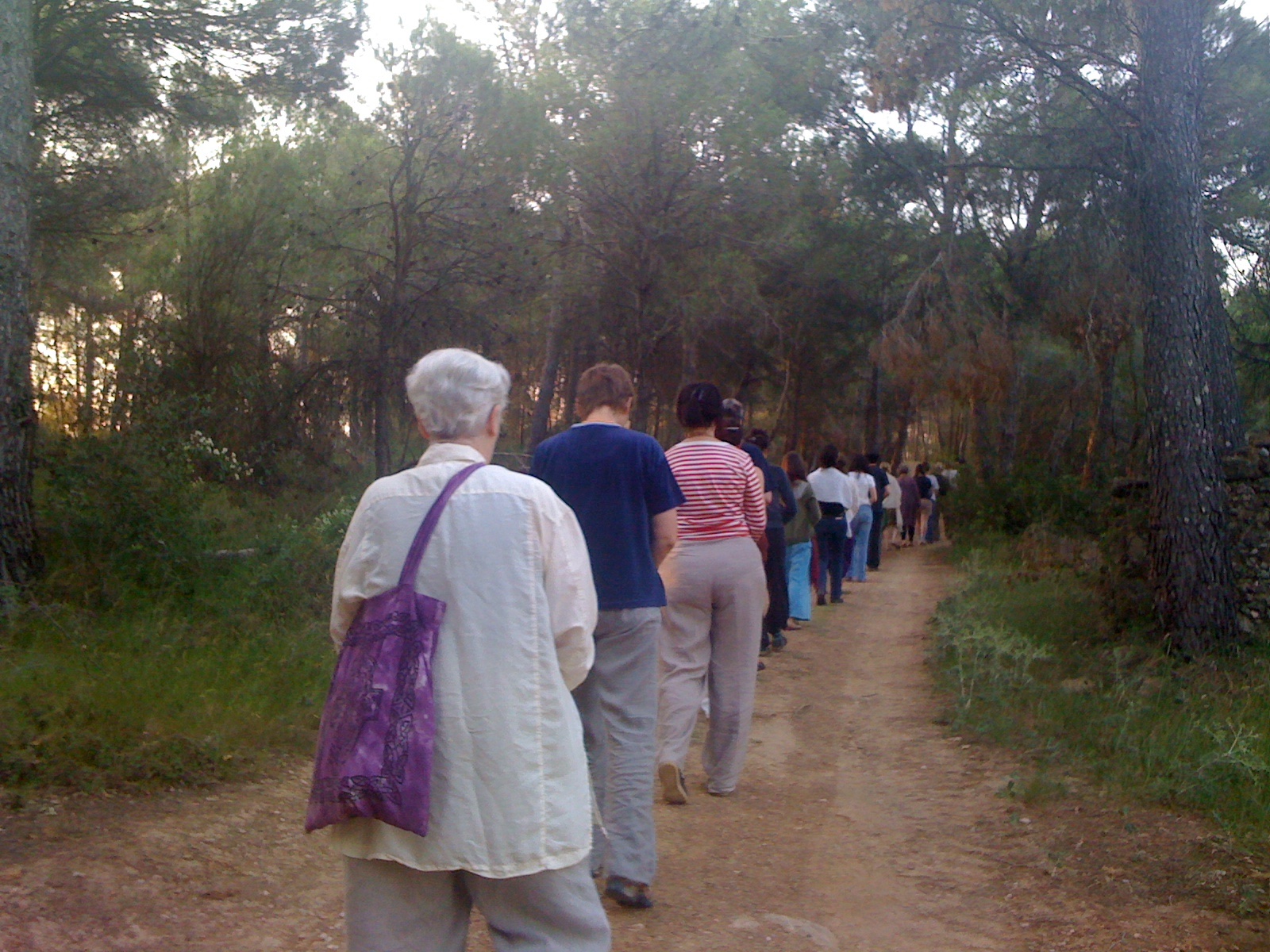 Beca Walter Benjamin 2020