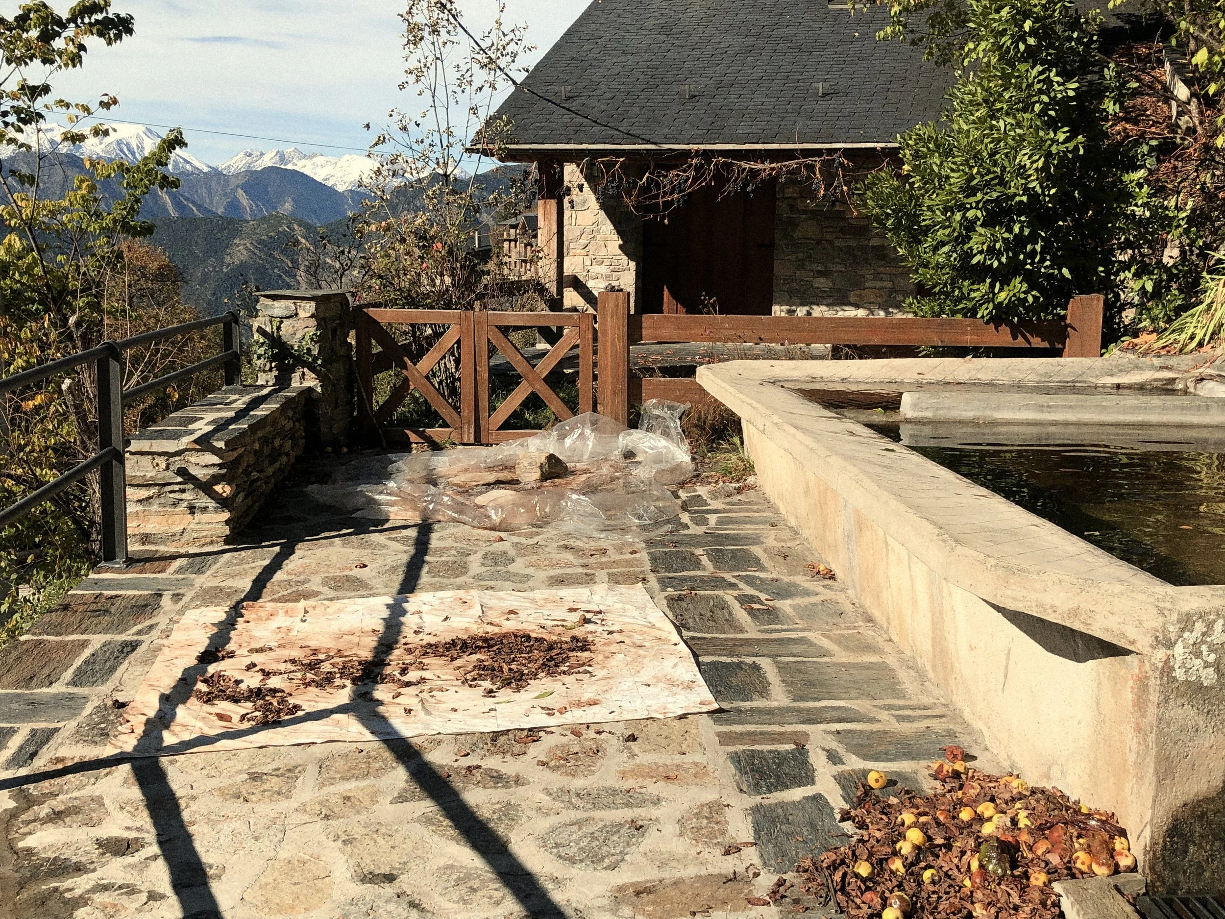 IMG_0217 3 Edited.jpg