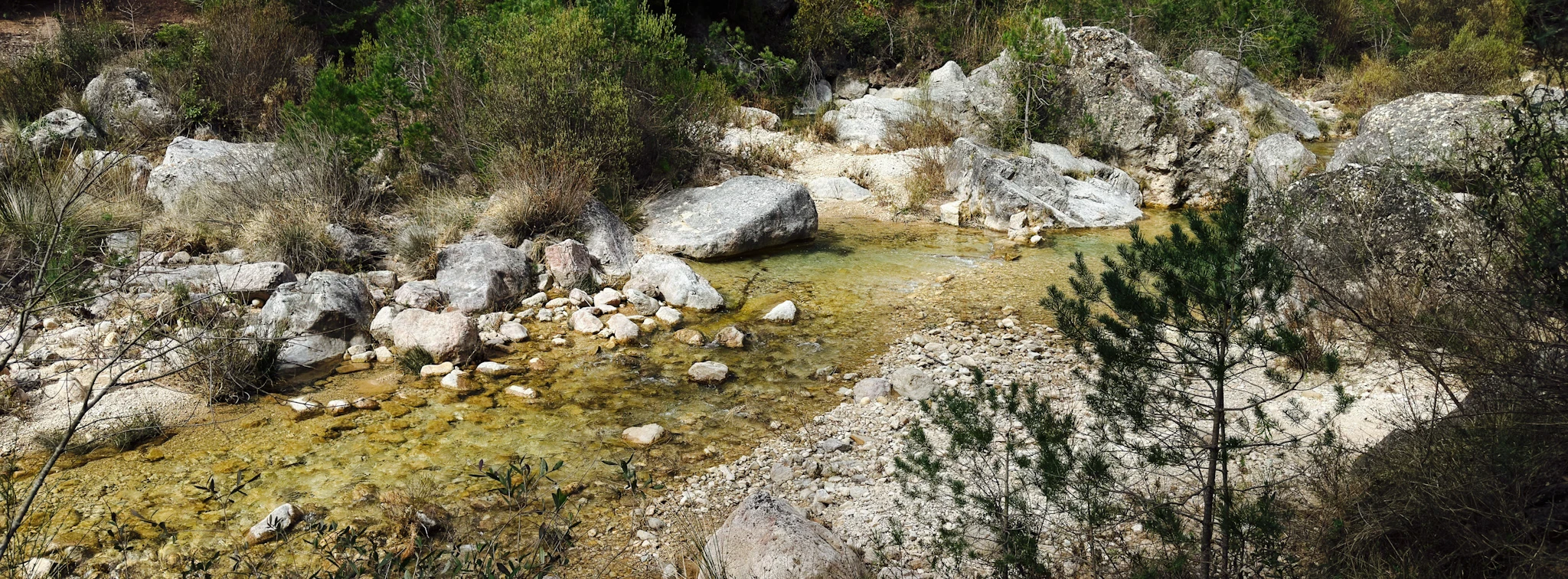 Cabecera del río Siurana (La Febró, 27.03.2026)