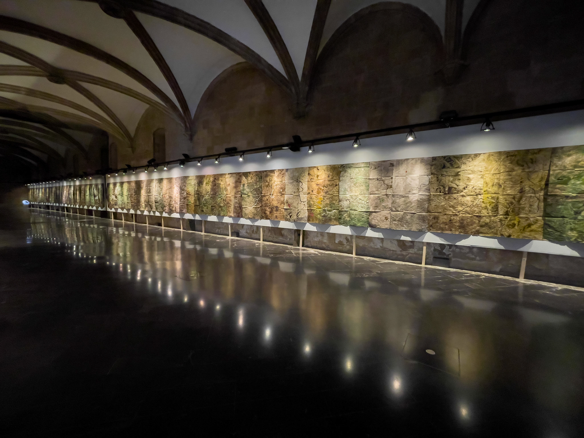 Exposició "Sequere", Institut d'Estudis Ilerdencs, Lleida, 2023