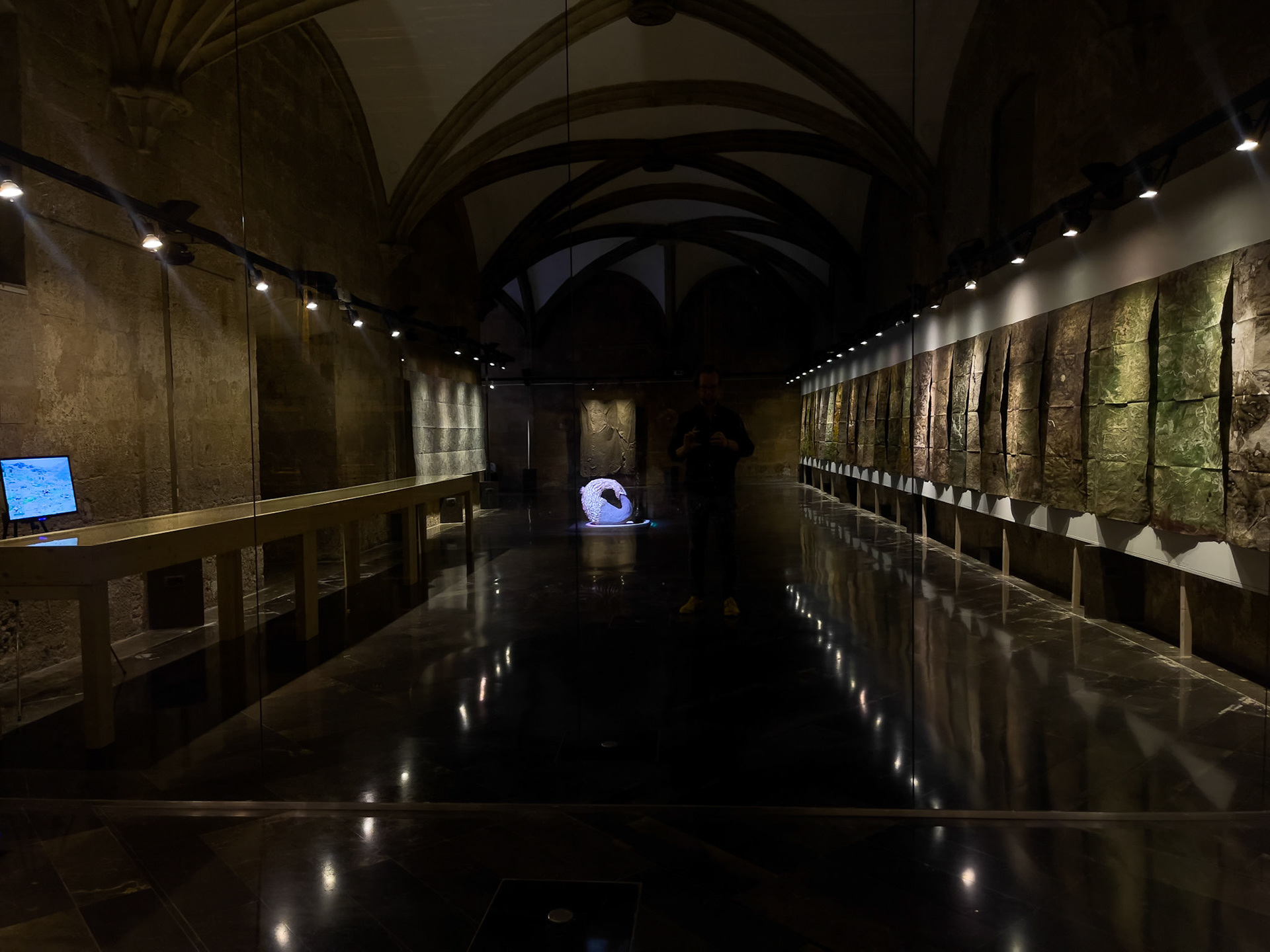 Exposició "Sequere", Institut d'Estudis Ilerdencs, Lleida, 2023