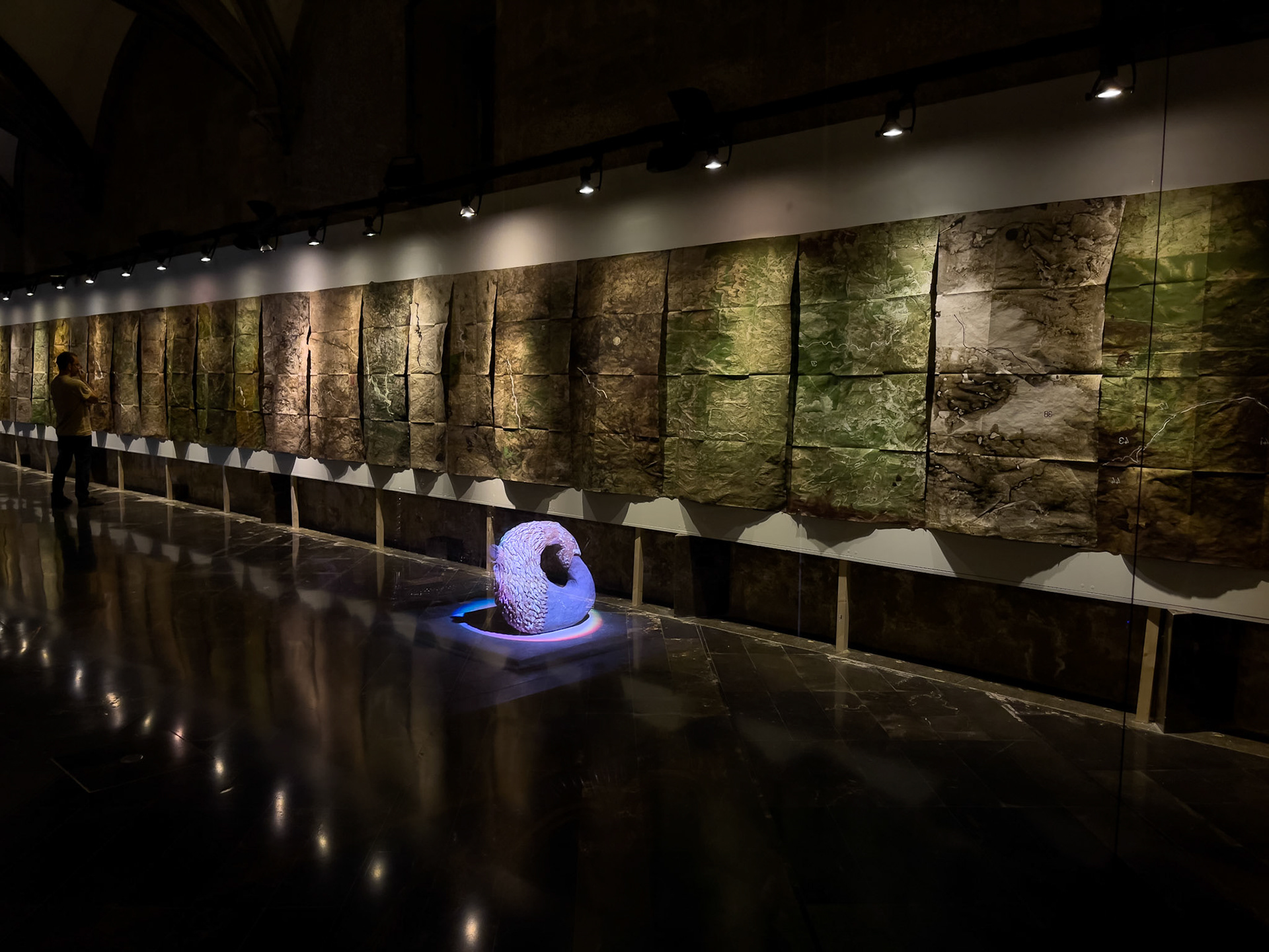 Exposició "Sequere", Institut d'Estudis Ilerdencs, Lleida, 2023